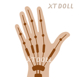 XT Doll Custom Option - Articulated Hand Skeleton