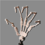 Irontech Custom Option - Articulated Hand Skeleton